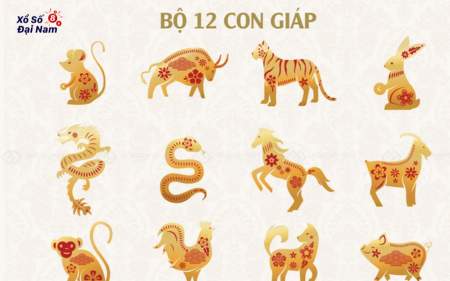 Gợi ý con số may mắn hôm nay 26/05/2025 theo tuổi và cung hoàng đạo