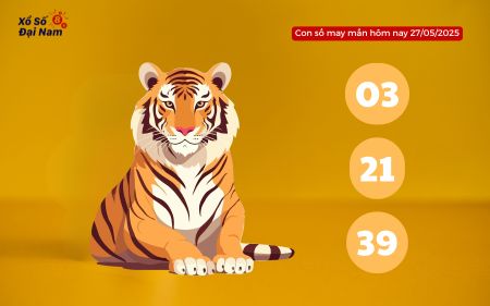 Con số may mắn hôm nay 27/05/2025 theo tuổi Dần